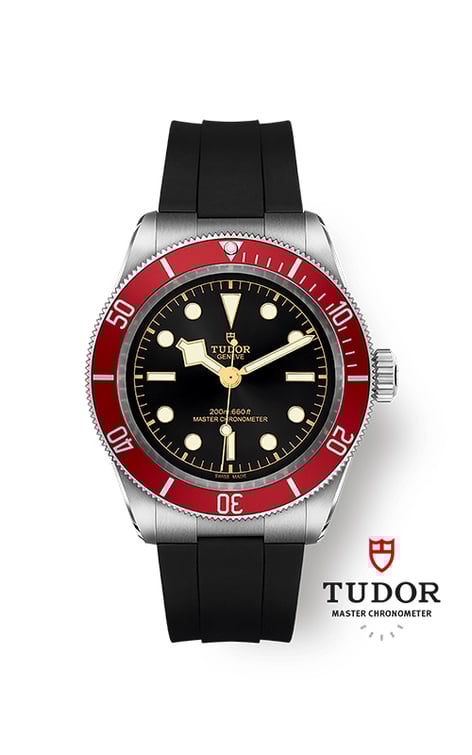 Tudor black bay 41 41mm