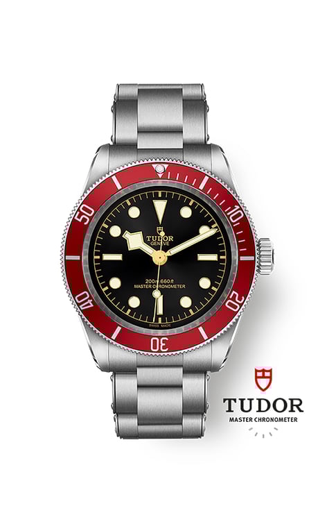 Tudor black bay 41mm