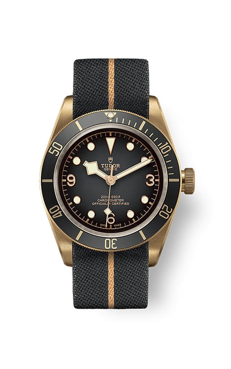 Tudor black bay bronze 43mm