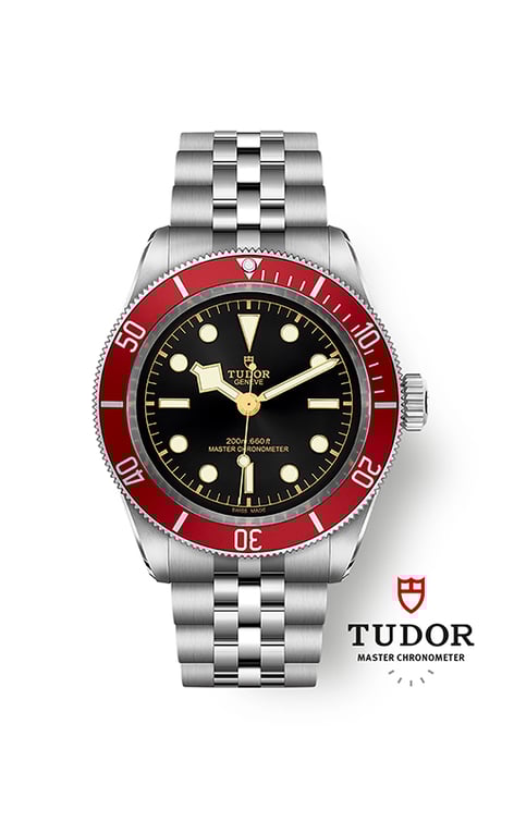 Tudor black bay 41mm