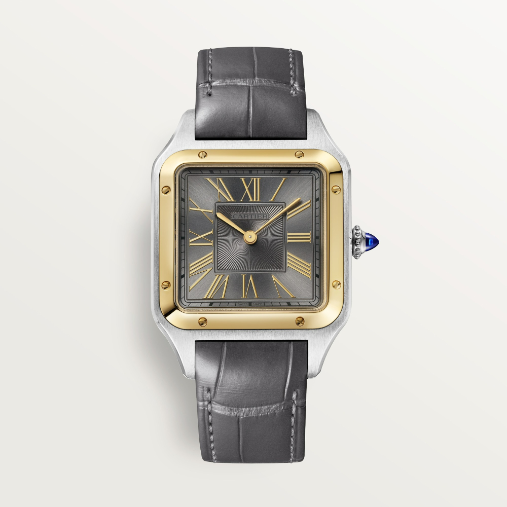 Cartier Santos-Dumont W2SA0036
