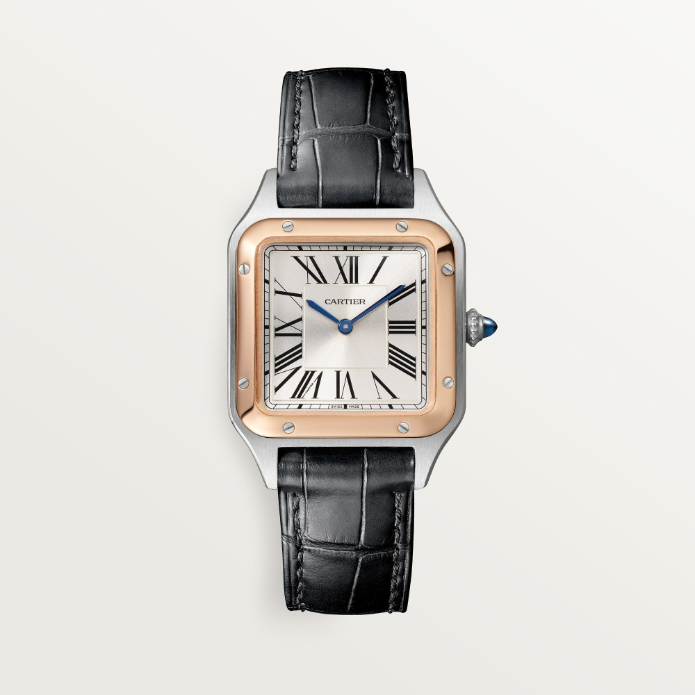 Cartier Santos Dumont W2SA0038