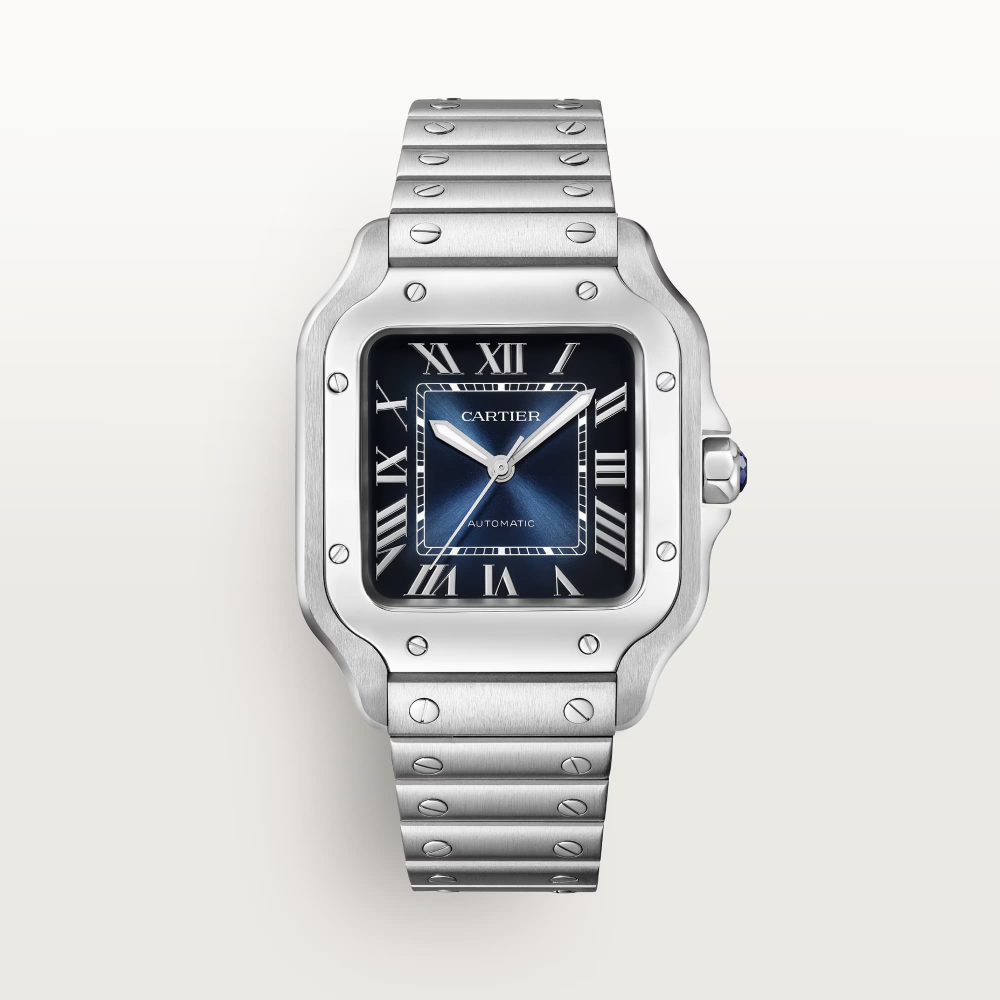 cartier Santos de Cartier WSSA0063