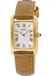 seiko SWR100P1 22 mm