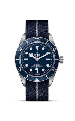 tudor black bay 58 39mm