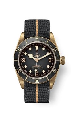 tudor black bay bronze 43mm