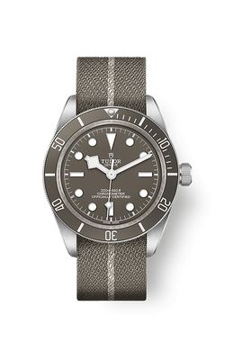 tudor black bay 58 39mm