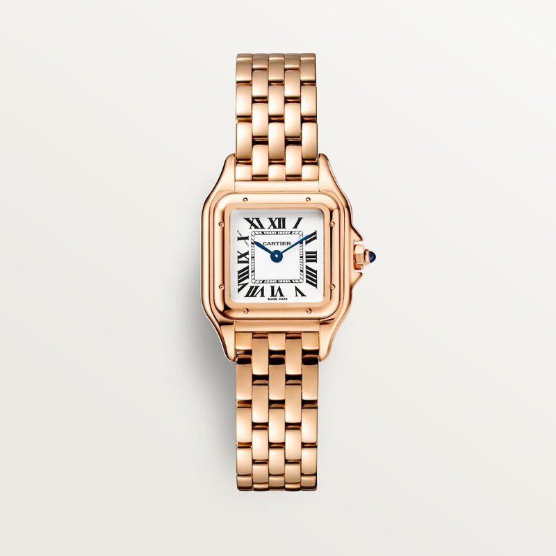 cartier Panthere De Cartier WGPN0049