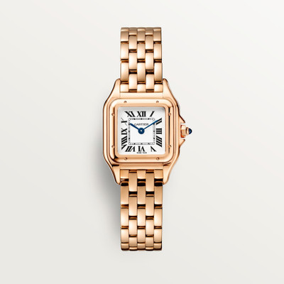 cartier Panthere De Cartier WGPN0049