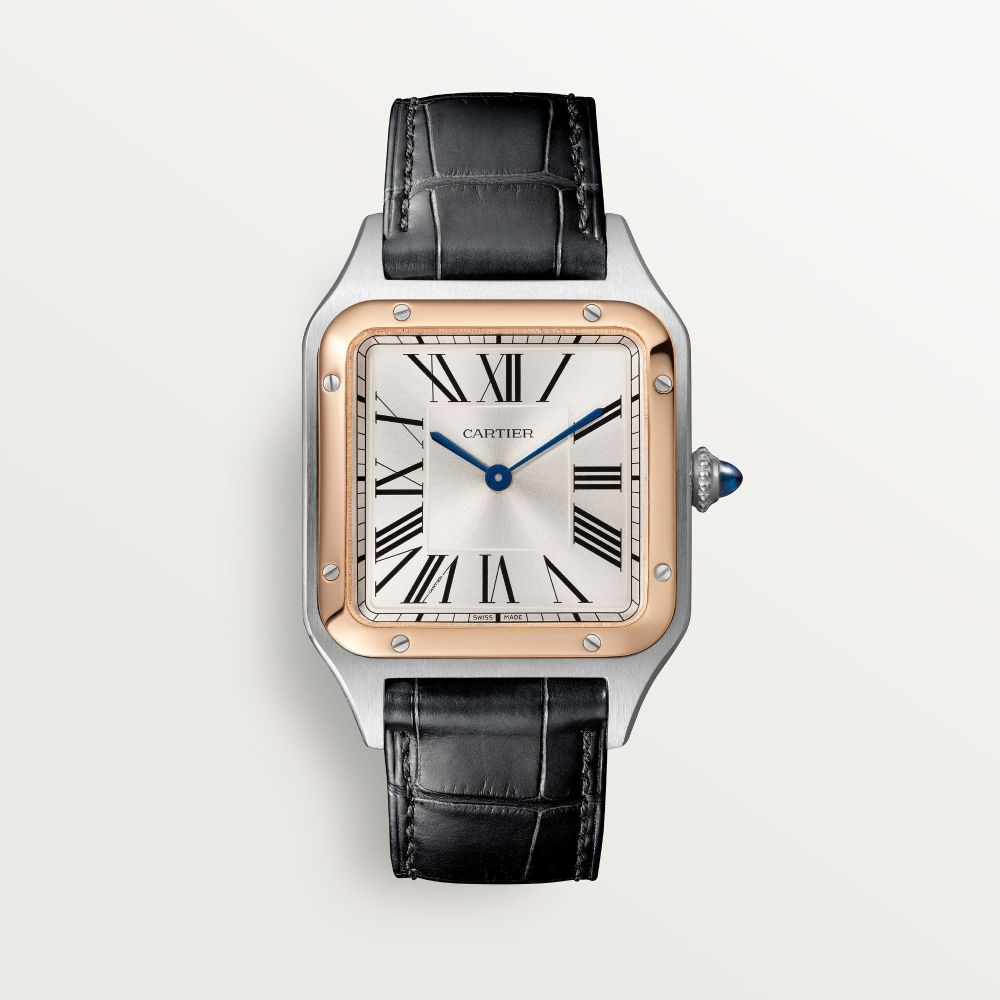 cartier Santos-Dumont W2SA0037