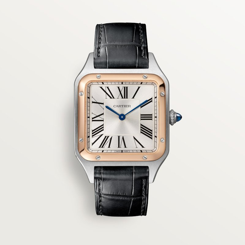 cartier Santos-Dumont W2SA0037