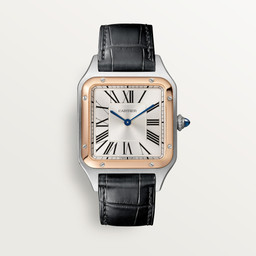cartier Santos-Dumont W2SA0037 43 mm