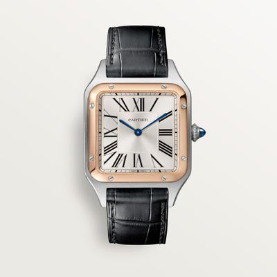 cartier Santos-Dumont W2SA0037