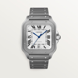cartier Santos de Cartier WSSA0089 40 mm