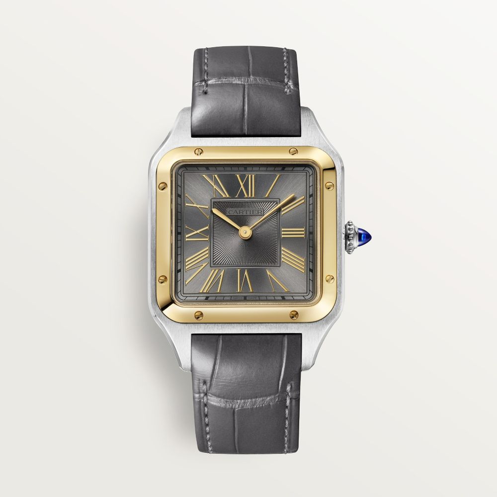 cartier Santos-Dumont W2SA0036 44 mm