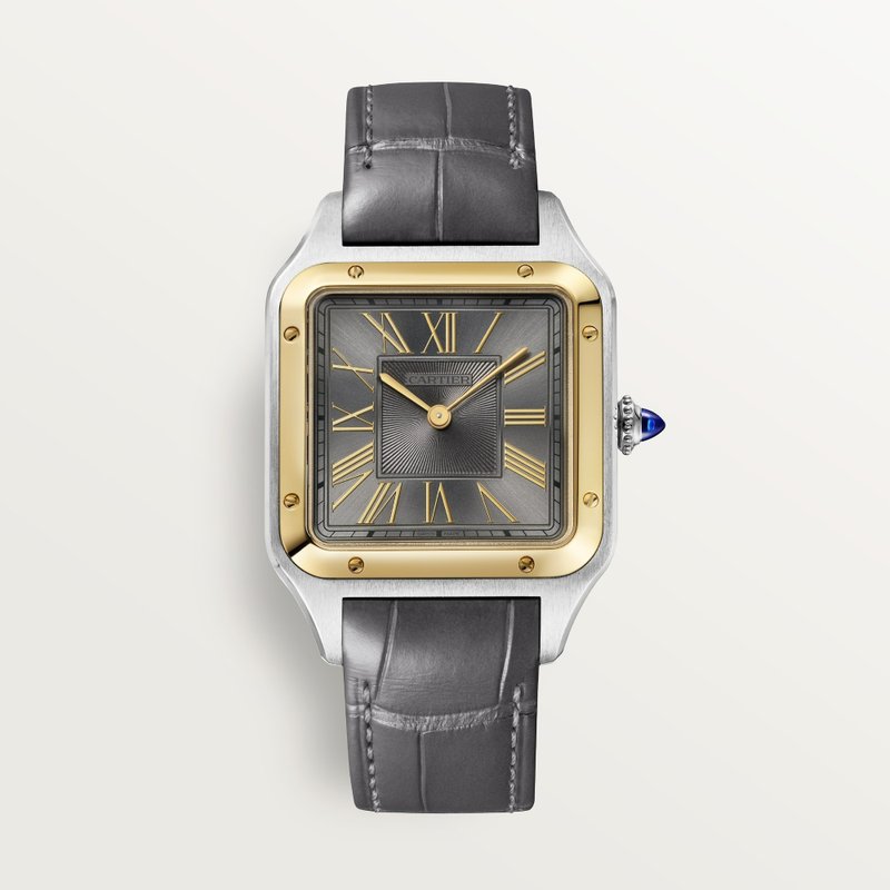 cartier Santos-Dumont W2SA0036