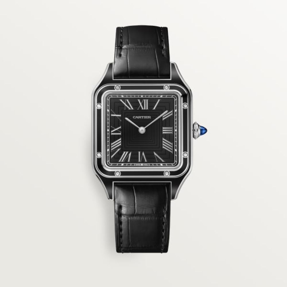 cartier Santos-Dumont WSSA0046 43 mm
