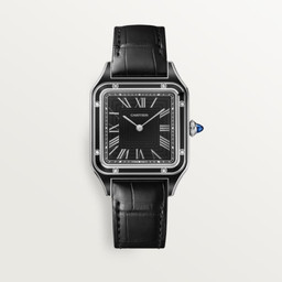 cartier Santos-Dumont WSSA0046 43 mm