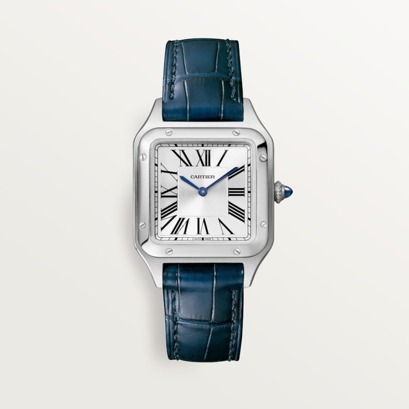 cartier Santos Dumont WSSA0086