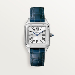 cartier Santos Dumont WSSA0086 38 mm