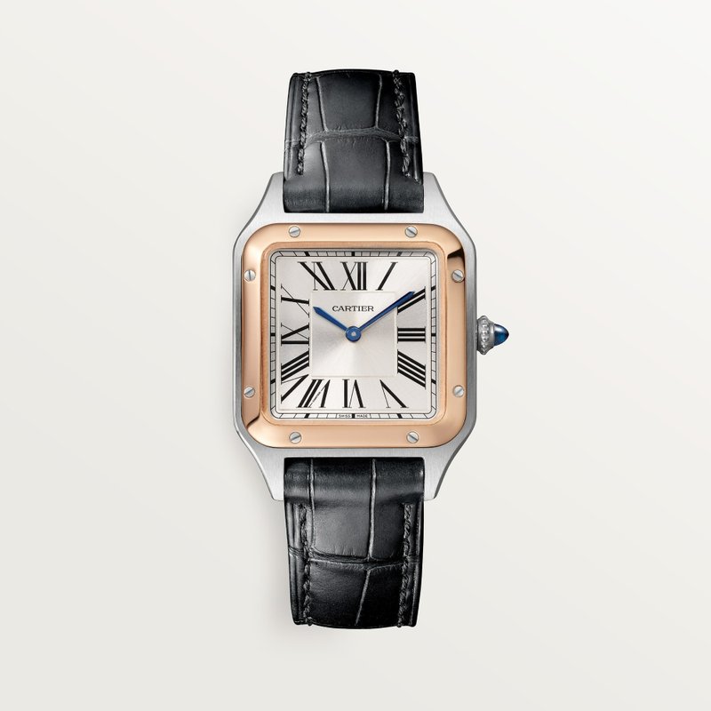 cartier Santos Dumont W2SA0038