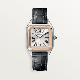 cartier Santos Dumont W2SA0038 38 mm