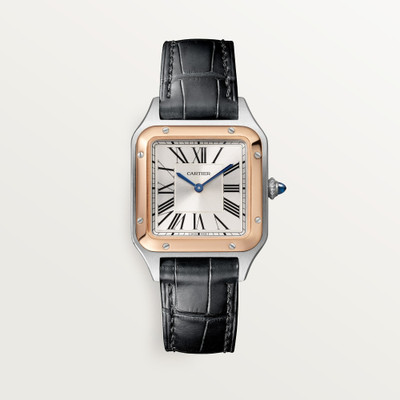 cartier Santos Dumont W2SA0038
