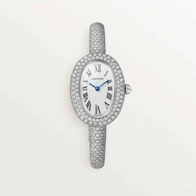 cartier Baignoire HPI01701