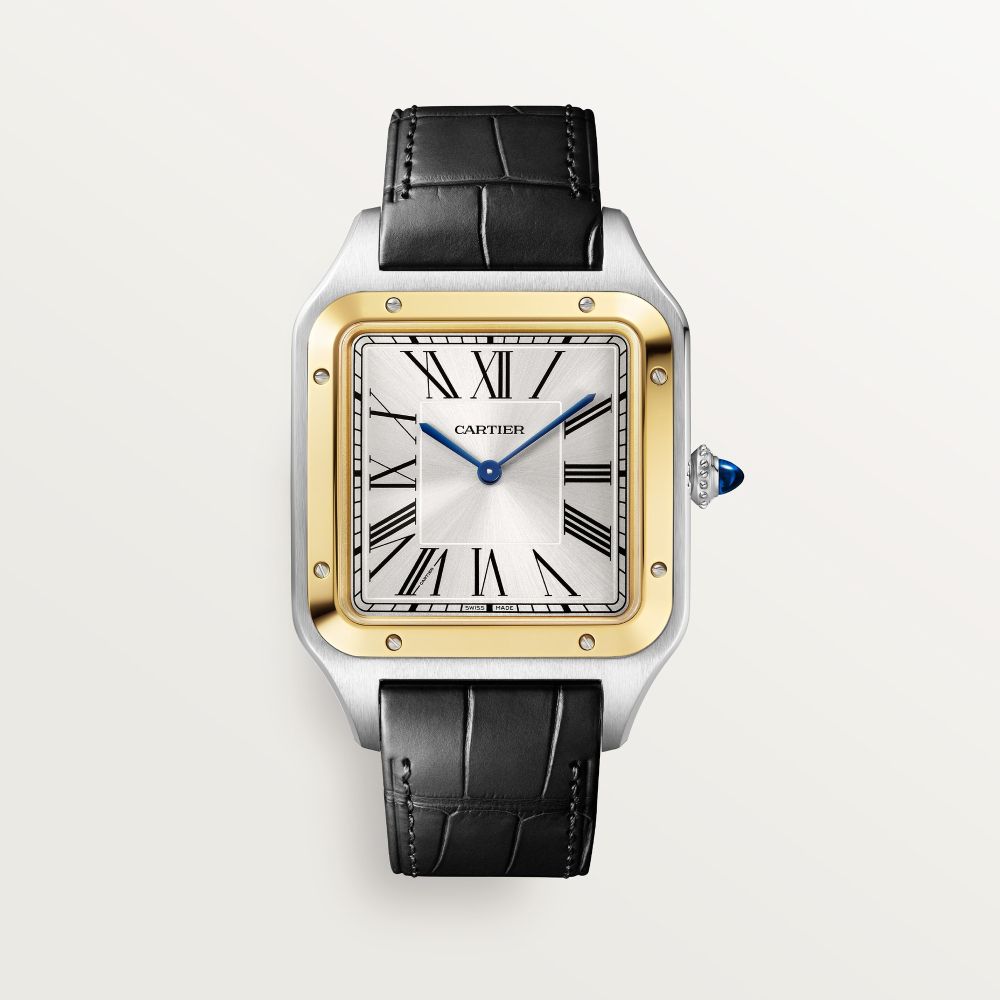 cartier Santos-Dumont W2SA0034