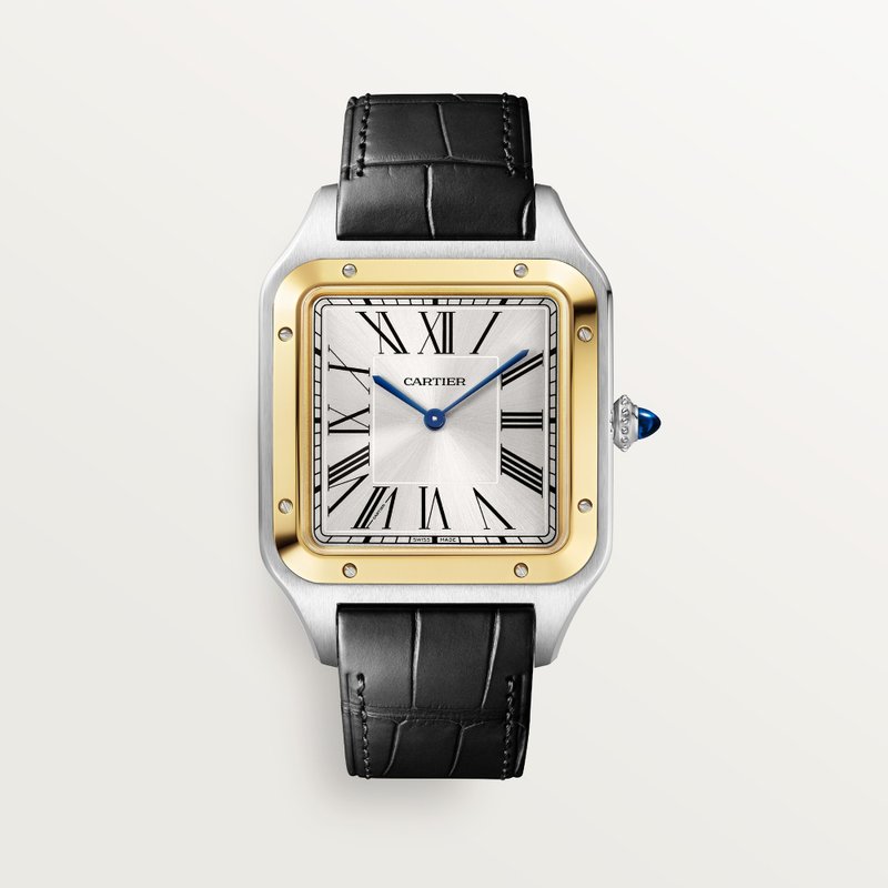 cartier Santos-Dumont W2SA0034