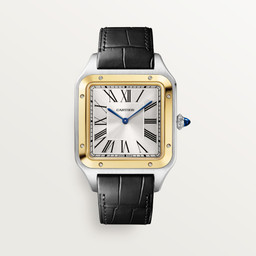 cartier Santos-Dumont W2SA0034 46 mm