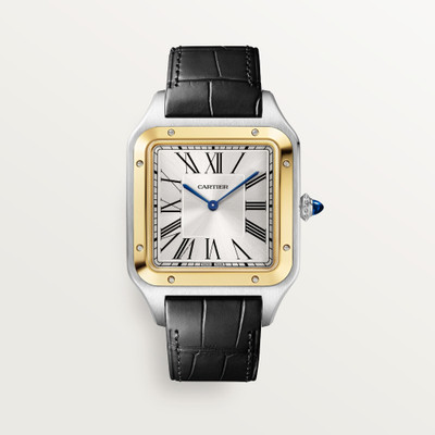 cartier Santos-Dumont W2SA0034