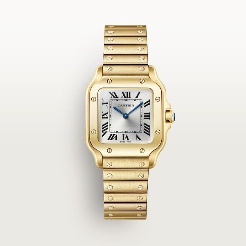 cartier Santos de Cartier WGSA0107