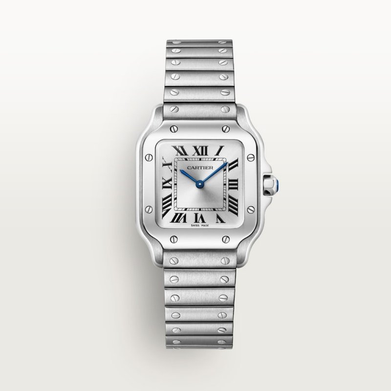 cartier Santos de Cartier WSSA0082