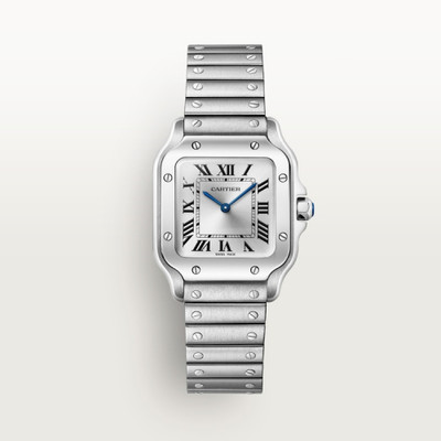 cartier Santos de Cartier WSSA0082