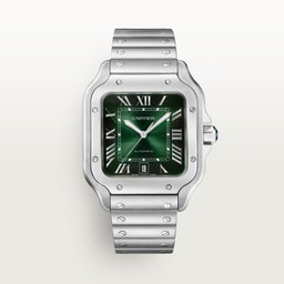 cartier Santos de Cartier WSSA0062 40 mm