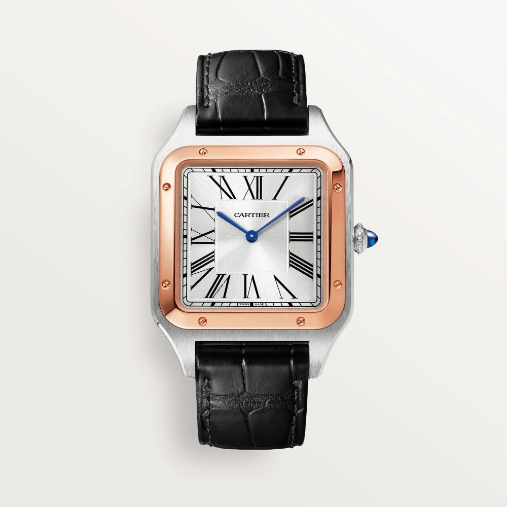 cartier Santos Dumont W2SA0017