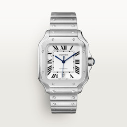 cartier Santos de Cartier WSSA0018 40 mm
