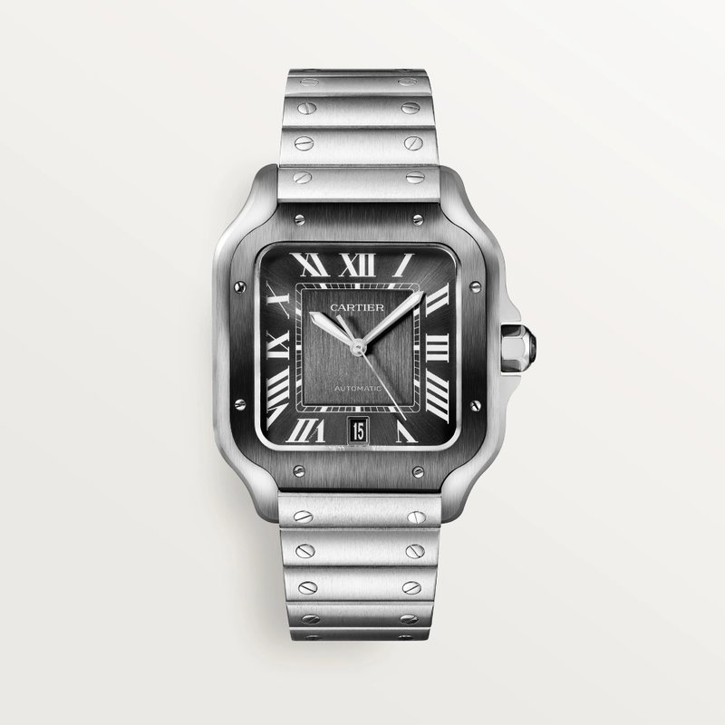 cartier Santos de Cartier WSSA0037