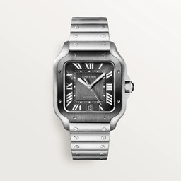 cartier Santos de Cartier WSSA0037 40 mm
