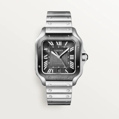 cartier Santos de Cartier WSSA0037