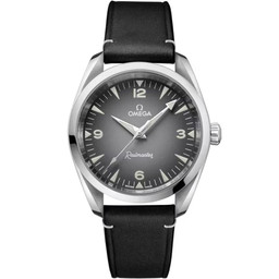 omega Railmaster 235.12.38.20.06.001 38 mm