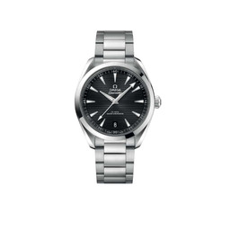 omega Seamaster AQUA TERRA 150M CO-AXIAL MASTER CHRONOMETER 220.10.41.21.01.001 41 mm