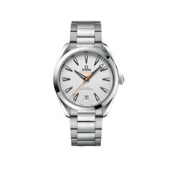 omega Seamaster AQUA TERRA 150M CO-AXIAL MASTER CHRONOMETER 220.10.41.21.02.001 41 mm