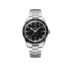 omega Seamaster 300 CO-AXIAL MASTER CHRONOMETER 234.30.41.21.01.001 41 mm