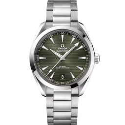 omega Seamaster Aqua Terra 220.10.41.21.10.001 41 mm